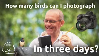 How many birds can I photograph in three days under lockdown