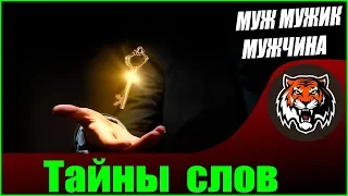 Русский Язык | Значение Слов Папа, Отец, Муж, Мужчина, Мужик, Жена,  | Буквица