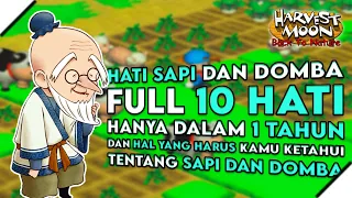 MUDAH! Inilah Cara Meningkatkan Hati Sapi dan Domba Di Harvest Moon Back To Nature