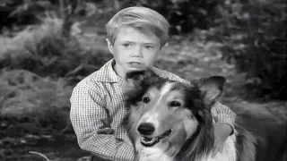 Lassie | Lassie's Decision | Full Episodes | Old Cartoons | Videos For Kids  🐕