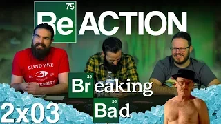 Breaking Bad 2x3 REACTION!! "Bit by a Dead Bee"