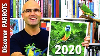 Parrot Calendars 2020 | Discover PARROTS
