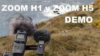 Demo del grabador Zoom H1 y Zoom H5 | Español