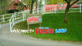 Welcome to Fergie Land! | Little Grey Fergie
