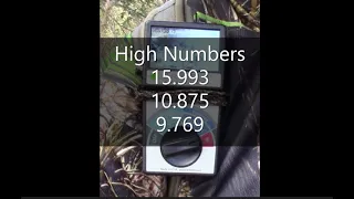 Bigfoot Research With The TriField Meter In Green Swamp