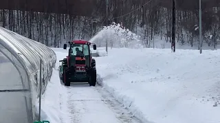 Pinay Farmer in Japan//Mahirap ang farmer pag ganitong winter ❄️❄️⛄️⛄️