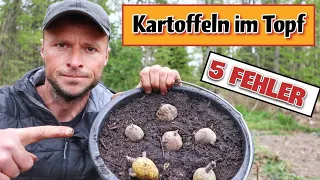 Kartoffeln im Topf anbauen: 5 fatale FEHLER + genaue ANLEITUNG