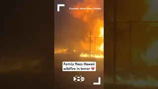 #Hawaii family flees Lahaina wildfire in terror 💔 #shortsfeed