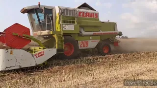 Żniwa😎 RZEPACZANE🔥 2k21 😱CLAAS mega 208 & CLAAS lexion 540 w AKCJI🔥