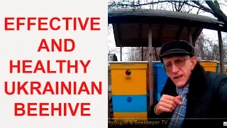 Effective & Healthy Beehives & Sleeping Bee Bed of Ukrainian Beekeeper Vasyl Priyatelenko 06.11.2016