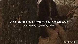 Crumb - The Bug  (Sub Español - Lyric Video)