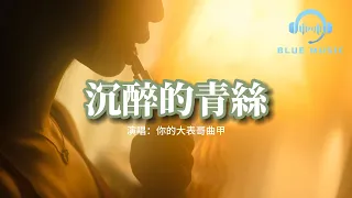 你的大表哥曲甲 - 沉醉的青絲『如果回憶容易 我會想你念你，假裝你在這裡。』【動態歌詞MV】