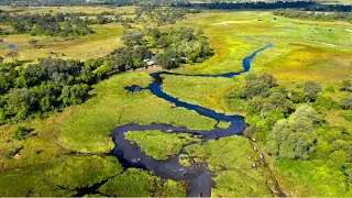 Embark on a Spectacular Safari Journey: Exploring Our Captivating Destinations - African Bush Camps