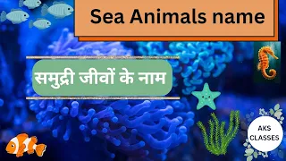 Sea Animals Name l समुद्री जीवों के नाम