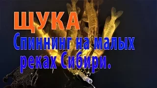 Щука Спиннинг на малых реках Сибири