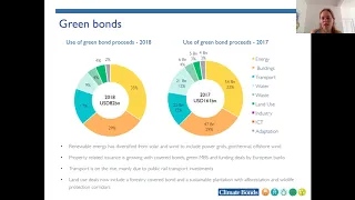 Webinar Forestry and Green Bonds with CBI