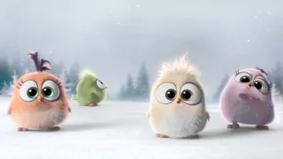 The Angry Birds Movie: Seasons Greetings from the Hatchlings