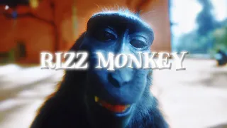 Rizz Monkey「EDIT」🙊🍆💦