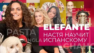 УЧИМ ИСПАНСКИЙ И ПЕРЕВОДИМ ELEFANTE ☆ NKBLOG ☆