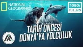 Tarih Öncesi: Dünyaya Yolculuk | Türkçe Belgesel