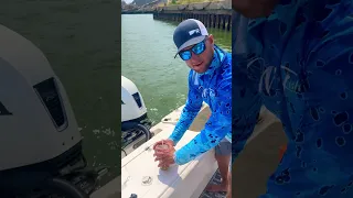 The ULTIMATE way to keep your bait alive & catch GIANT fish! 💡 #HowTo #Shorts #Fishing