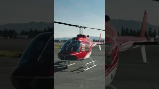 Bell 206 Jet Ranger Startup