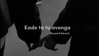 Kade Ta Tu Avenga [ Slowed + Reverb ] | Runbir | Lofi Legacy | Trending