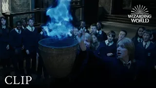 Triwizard Tournament Nominations | Harry Potter and the Goblet of Fire