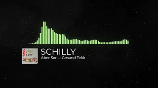 Wise Guys - Aber Sonst Gesund [SCHILLYTEKK RMX]