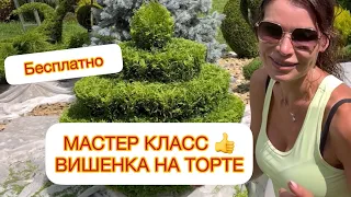 ✅МАСТЕР КЛАСС - БЕСПЛАТНО‼️ «ВИШЕНКА НА ТОРТЕ»