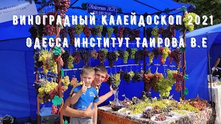 Выставка в институте В.Е Таирова! Виноградный калейдоскоп 2021