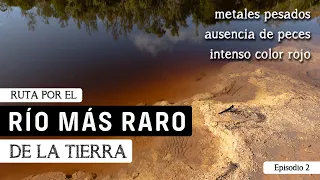 📸 ¡El reto de FOTOGRAFIAR el Río ROJO 🌿🔴 Río Tinto