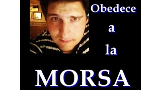 Obedece a la Morsa, VIDEOREACCION | @Somos_Palabra