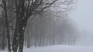 Плакала Авторская песня Р Шабельник