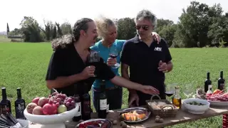 The Bocelli Grape Harvest