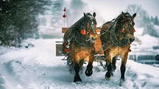 Лікувальна музика для серця та судин! До сліз гарна мелодія! Зимова соната! Падав сніг сніг