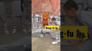 Child Kungfu Masters Part 1: Inside theMysterious Shaolin Temple where TrainingStarts