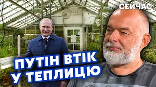 🔴ШЕЙТЕЛЬМАН: Все! Зеленський ПОСЛАВ Путіна. Жодних ПЕРЕМОВИН. Джонсон ЗБРЕХАВ про ВІЙНУ? @sheitelman