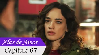 Alas de Amor - Capitulo 67 (Audio Español) | Bana Sevmeyi Anlat