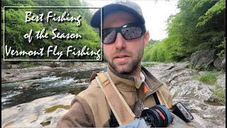 Best Fly Fishing of the Season - Prime Time in Vermont- 2 Hours on a VT Trout Stream- Comp Practice
