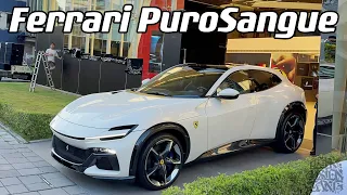 2023.05.06 台灣 高雄 法拉利 休旅車 Taiwan Kaohsiung Ferrari Purosangue FUV Ferrari Utility Vehicle SuperSUV