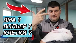 КАК СОДЕРЖАТЬ КРОЛИКОВ? 3 МЕТОДА НА ВЫБОР!!