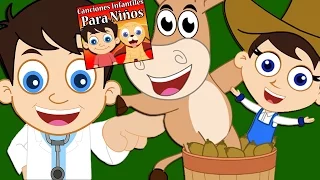 A Mi Burro Le Duele La Cabeza | Canciones Infantiles Para Niños | Rondas Infantiles