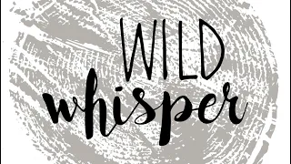 UnBoxing Brand New Launch From Wild Whisper!! It’s Finally Here! 🥳🥳🥳
