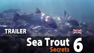 Sea Trout Secrets 6 Fly fishing • Trailer