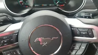 My 2020 Ford Mustang Gt