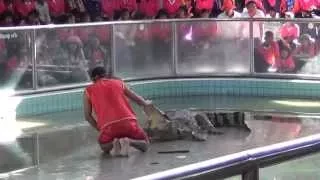 Смертельный номер с крокодилом . Паттайя .Death Defying with a crocodile. Pattaya.