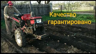 Как быстро и без усилий посадить картофель