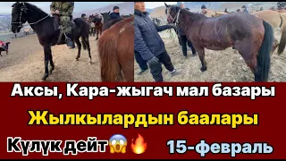 ЖЫЛКЫ БААЛАРЫ🔥 | СООДАНЫ КОРГУЛО😱🔥 | АКСЫ, КАРА-ЖЫГАЧ | 15-февраль