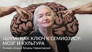 «Шум» как ключ к семиозису: мозг и культура – Онлайн лекция Татьяны Черниговской   HD 1080p